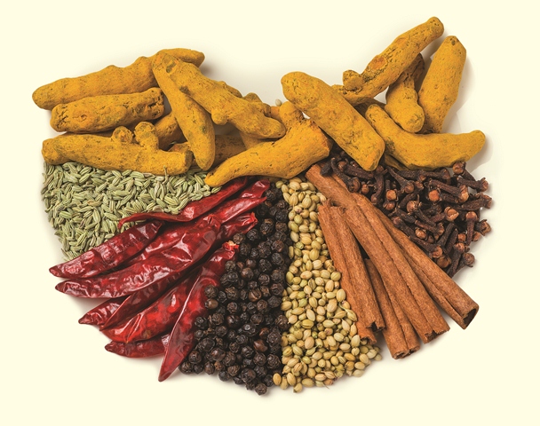 Madras Curry Powder